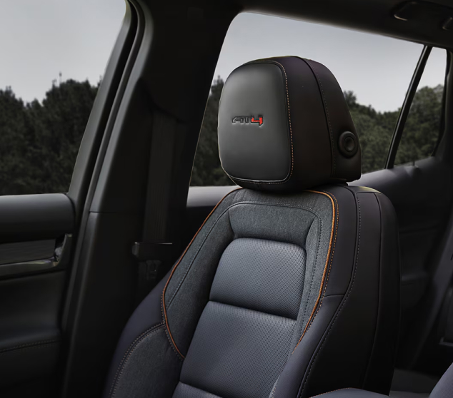 BUCKLE TO DRIVE