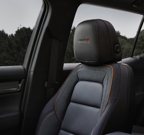 BUCKLE TO DRIVE